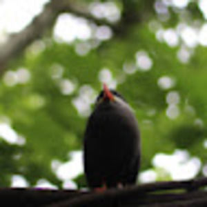 Meet your Posher, Taliakotovsky